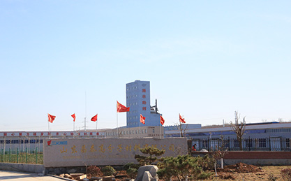 Shandong Changtai Macromolecule Material Co., Ltd