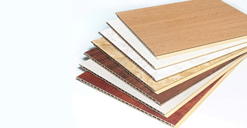 Shandong Changtai Macromolecule Material Co., Ltd